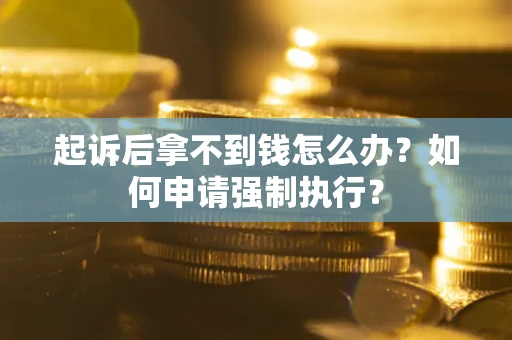 武汉起诉后拿不到钱怎么办？如何申请强制执行？