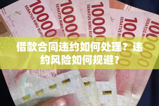 武汉借款合同违约如何处理？违约风险如何规避？