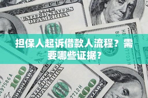 武汉担保人起诉借款人流程？需要哪些证据？