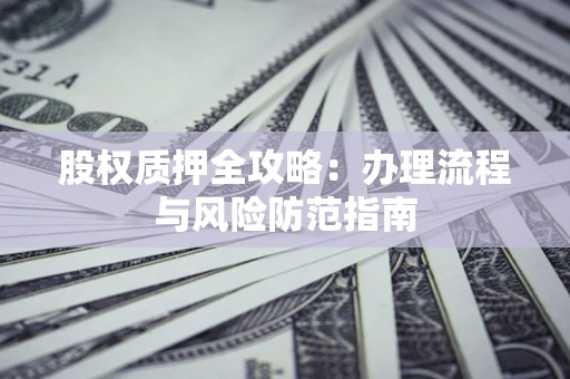 武汉股权质押全攻略：办理流程与风险防范指南