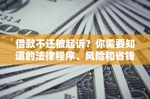 武汉借款不还被起诉？你需要知道的法律程序、风险和省钱技巧