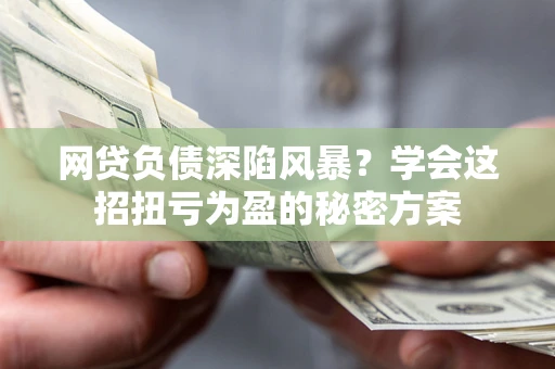 武汉网贷负债深陷风暴？学会这招扭亏为盈的秘密方案