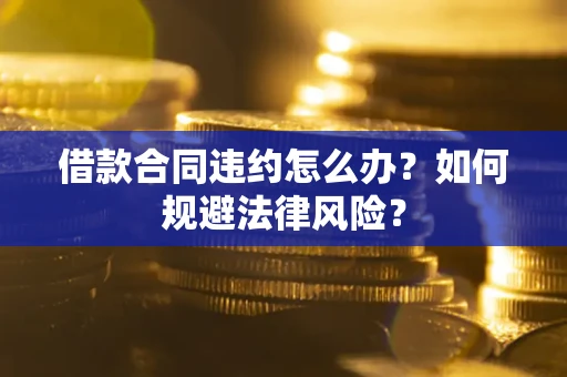 武汉借款合同违约怎么办？如何规避法律风险？